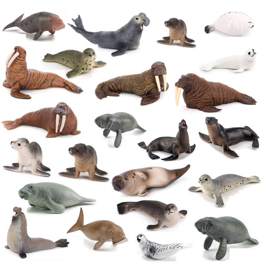 Kids Educational Game - Realistyczne figurki: Dugong, Manatee, Morski Łoś,
